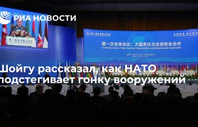 Шойгу рассказал, как НАТО подстегивает гонку вооружений