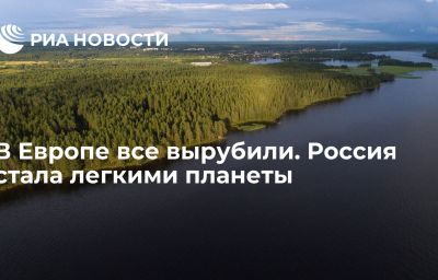 В Европе все вырубили. Россия стала легкими планеты