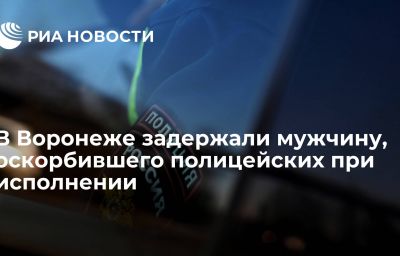 В Воронеже задержали мужчину, оскорбившего полицейских при исполнении