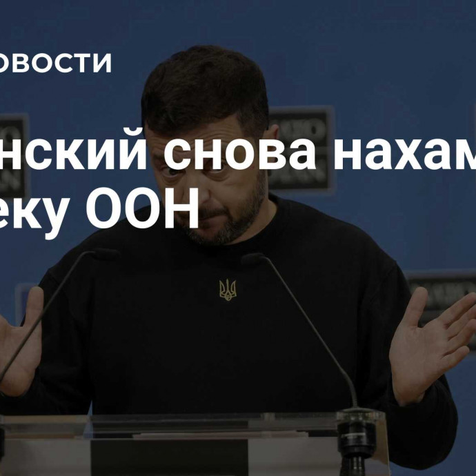 Зеленский снова нахамил генсеку ООН