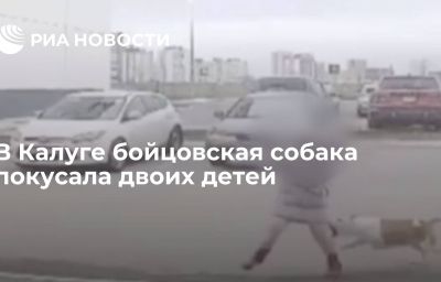 В Калуге бойцовская собака покусала двоих детей