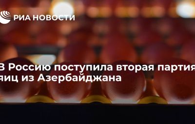 В Россию поступила вторая партия яиц из Азербайджана