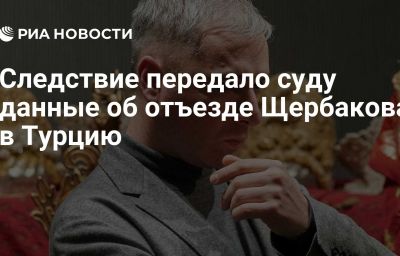 Следствие передало суду данные об отъезде Щербакова в Турцию