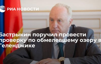 Бастрыкин поручил провести проверку по обмелевшему озеру в Геленджике