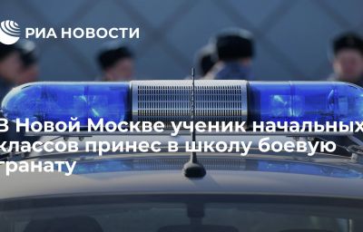 В Новой Москве ученик начальных классов принес в школу боевую гранату