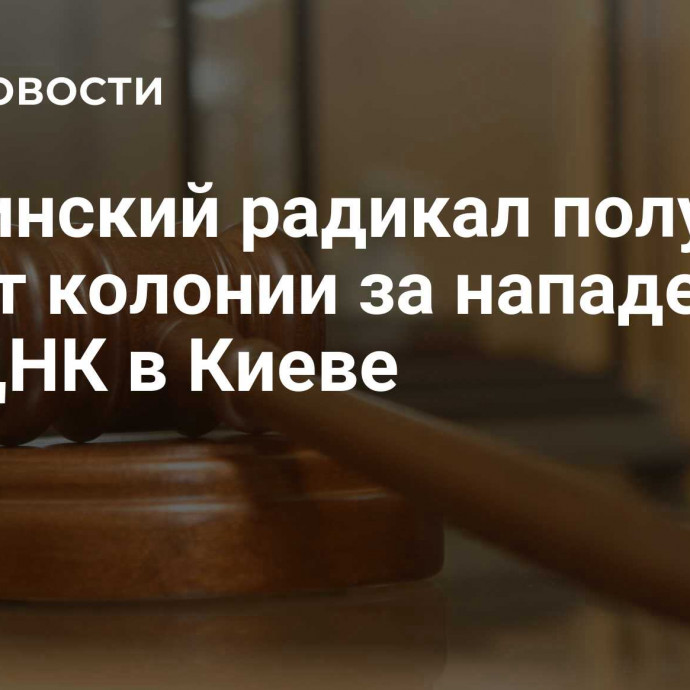 Украинский радикал получил 14 лет колонии за нападение на РЦНК в Киеве