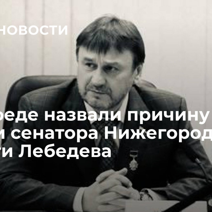 В Совфеде назвали причину смерти сенатора Нижегородской области Лебедева