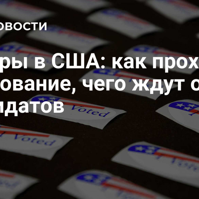 Выборы в США: как проходит голосование, чего ждут от кандидатов