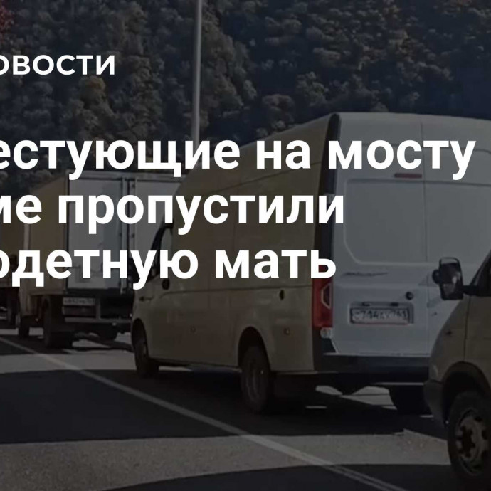 Протестующие на мосту в Сухуме пропустили многодетную мать