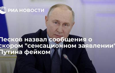 Песков назвал сообщения о скором "сенсационном заявлении" Путина фейком