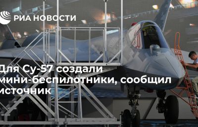 Для Су-57 создали мини-беспилотники, сообщил источник