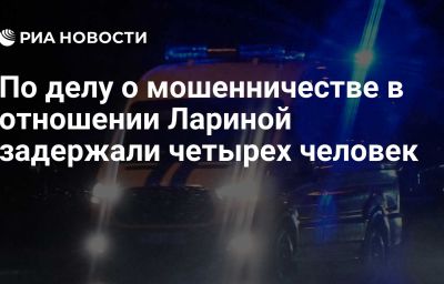 По делу о мошенничестве в отношении Лариной задержали четырех человек