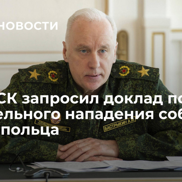 Глава СК запросил доклад после смертельного нападения собак на ставропольца