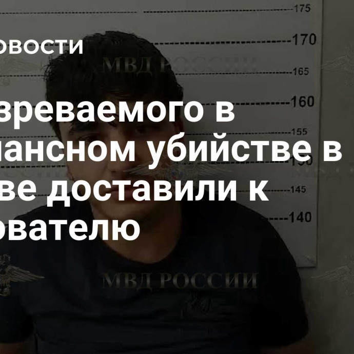 Подозреваемого в резонансном убийстве в Москве доставили к следователю