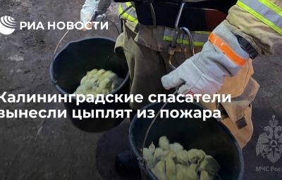 Калининградские спасатели вынесли цыплят из пожара