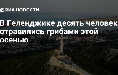 В Геленджике десять человек отравились грибами этой осенью