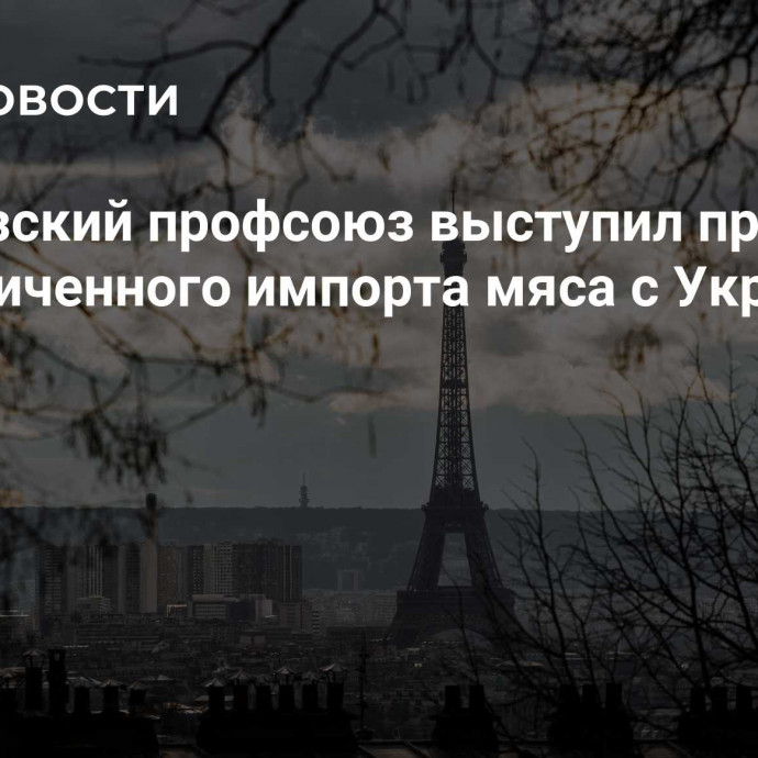 Французский профсоюз выступил против неограниченного импорта мяса с Украины