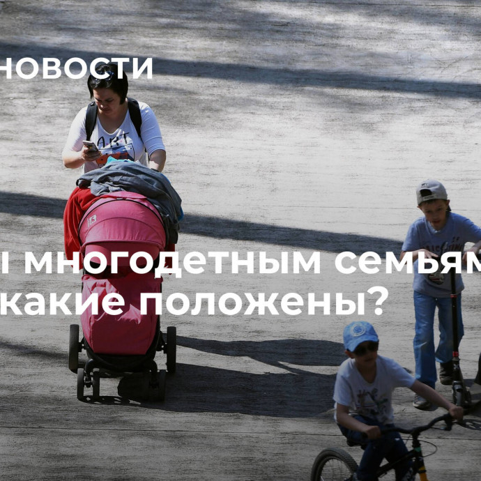 Льготы многодетным семьям в 2024 – какие положены?