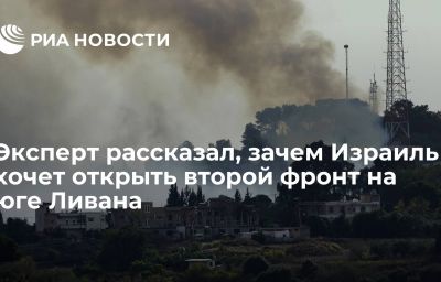 Эксперт рассказал, зачем Израиль хочет открыть второй фронт на юге Ливана