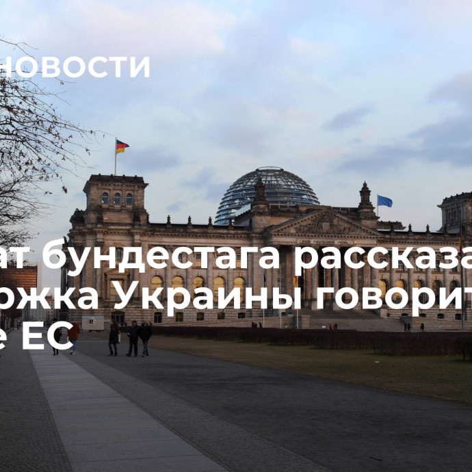 Депутат бундестага рассказал, как поддержка Украины говорит об упадке ЕС