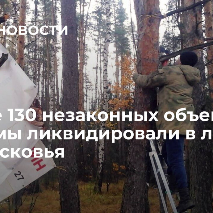 Свыше 130 незаконных объектов рекламы ликвидировали в лесах Подмосковья