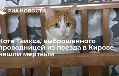 Кота Твикса, выброшенного проводницей из поезда в Кирове, нашли мертвым