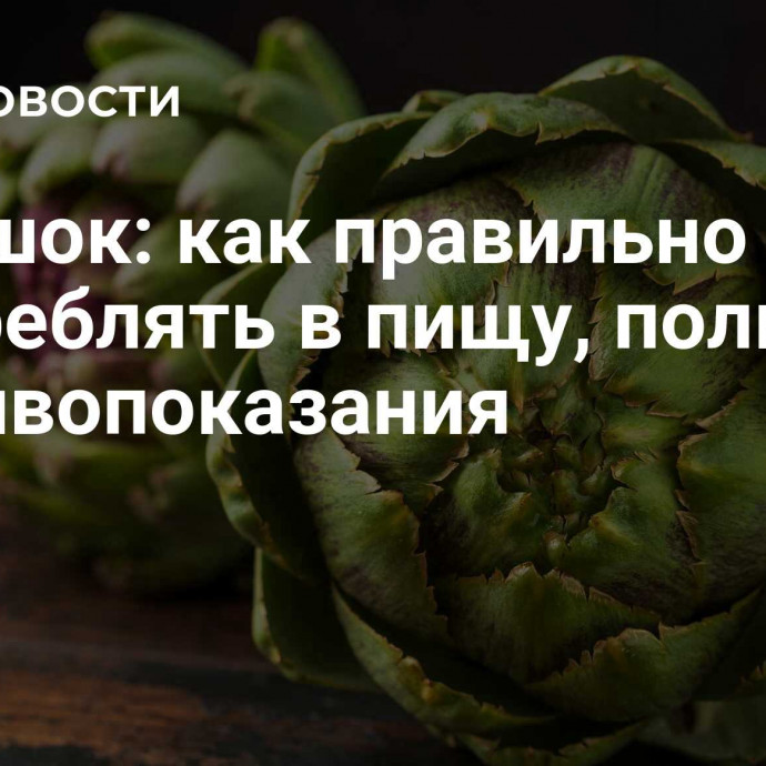 Артишок: как правильно употреблять в пищу, польза и противопоказания