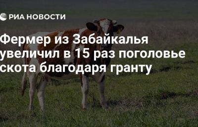 Фермер из Забайкалья увеличил в 15 раз поголовье скота благодаря гранту