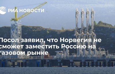 Посол заявил, что Норвегия не сможет заместить Россию на газовом рынке