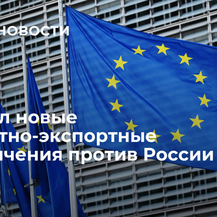 ЕС ввел новые импортно-экспортные ограничения против России