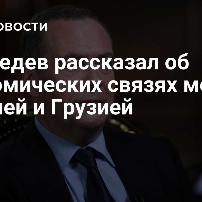 Медведев рассказал об экономических связях между Россией и Грузией