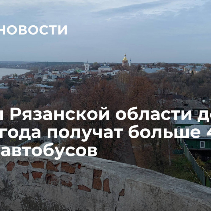 Школы Рязанской области до конца года получат больше 40 новых автобусов