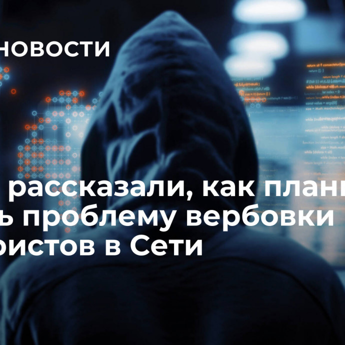 В МИД рассказали, как планируют решить проблему вербовки террористов в Сети