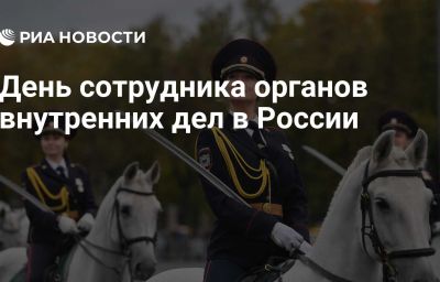 День сотрудника органов внутренних дел в России