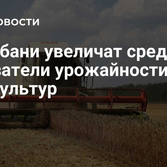 На Кубани увеличат средние показатели урожайности агрокультур