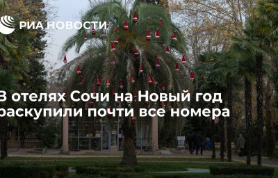 В отелях Сочи на Новый год раскупили почти все номера