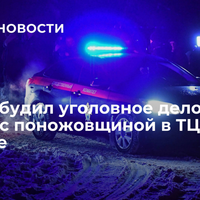 СК возбудил уголовное дело после драки с поножовщиной в ТЦ в Москве