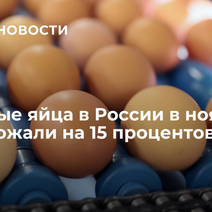 Куриные яйца в России в ноябре подорожали на 15 процентов