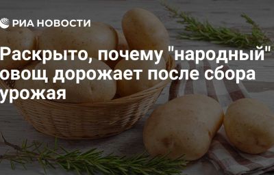 Раскрыто, почему "народный" овощ дорожает после сбора урожая