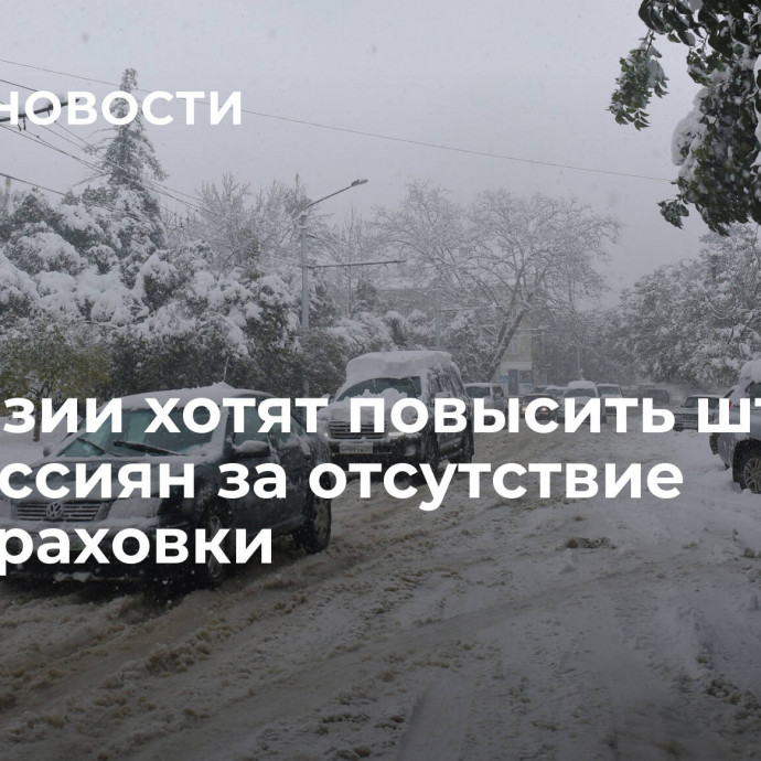 В Абхазии хотят повысить штраф для россиян за отсутствие автостраховки