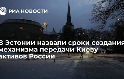 В Эстонии назвали сроки создания механизма передачи Киеву активов России