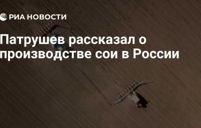 Патрушев рассказал о производстве сои в России