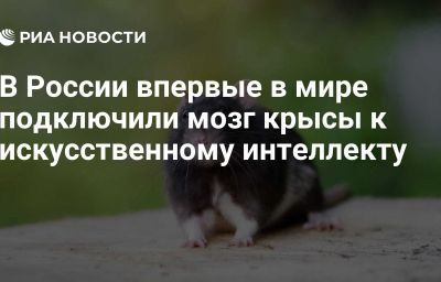 В России впервые в мире подключили мозг крысы к искусственному интеллекту