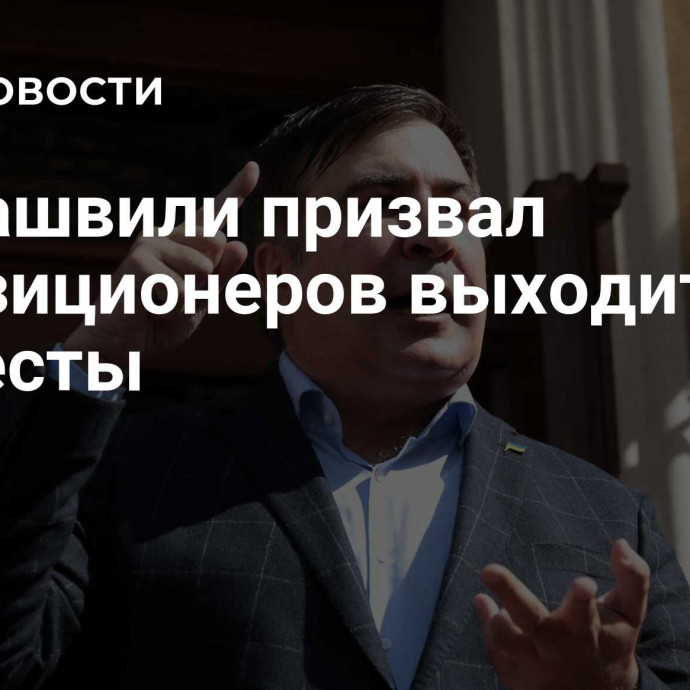 Саакашвили призвал оппозиционеров выходить на протесты