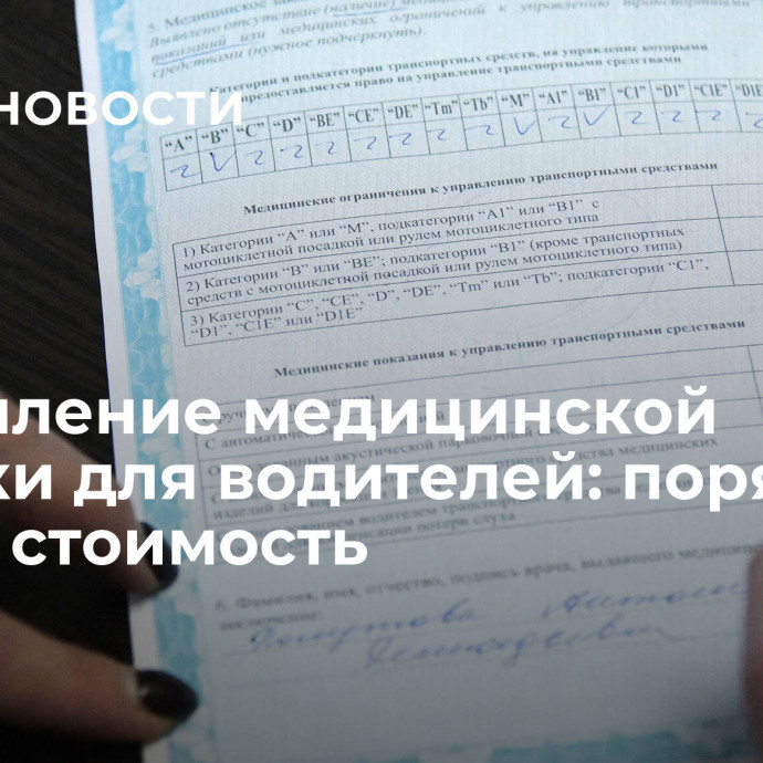 Оформление медицинской справки для водителей: порядок, сроки, стоимость