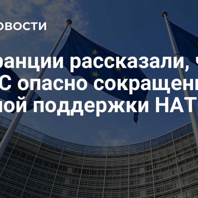 Во Франции рассказали, чем для ЕС опасно сокращение военной поддержки НАТО