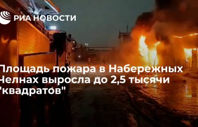 Площадь пожара в Набережных Челнах выросла до 2,5 тысячи "квадратов"