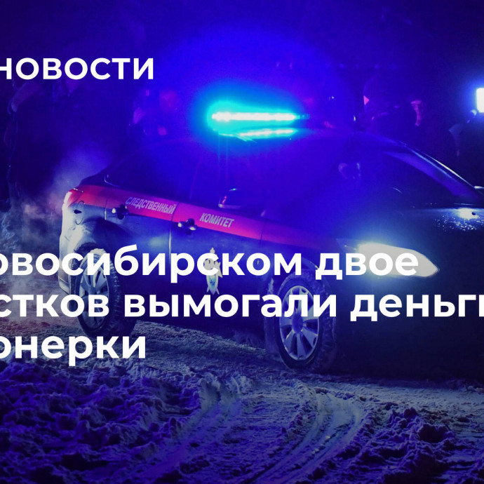 Под Новосибирском двое подростков вымогали деньги у пенсионерки