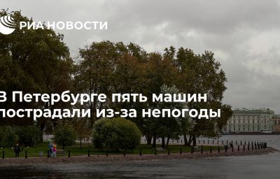 В Петербурге пять машин пострадали из-за непогоды