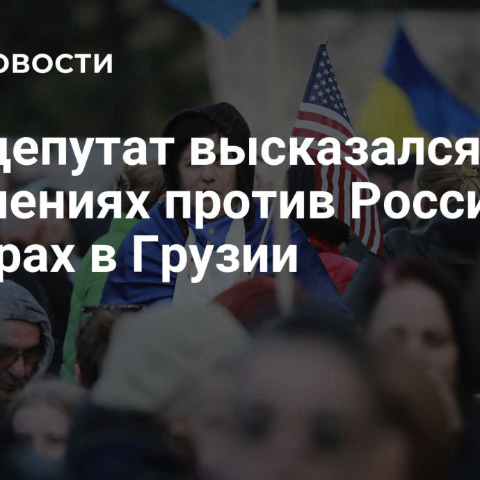 Евродепутат высказался об обвинениях против России на выборах в Грузии